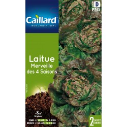 Graines Laitue Merveille...