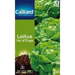 Graines Laitue Val D'Orge...