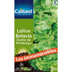 Graines Laitue Batavia...