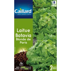 Graines Laitue Batavia...