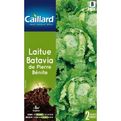 Graines Laitue Batavia De...