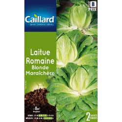 Graines Laitue Romaine...