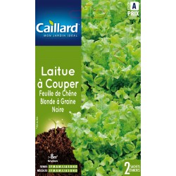 Graines Laitue À Couper...