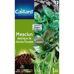 Graines Mesclun Asiatique...