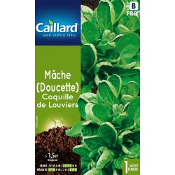 Graines Mache Coquille De...