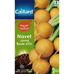 Graines Navet Jaune Boule...