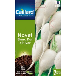 Graines Navet Blanc Dur...