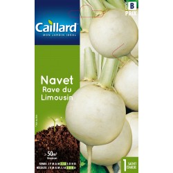 Graines Navet Rave Du...