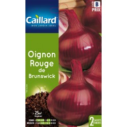 Graines Oignon Rouge De...
