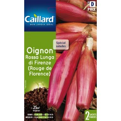 Graines Oignon Rouge Lunga...
