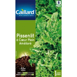 Graines Pissenlit À Coeur...