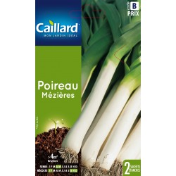 Graines Poireau Long...