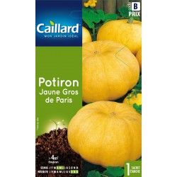 Graines Potiron Jaune Gros...