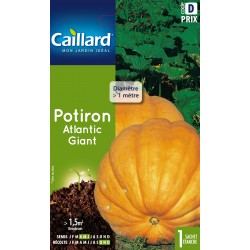 Graines Potiron Atlantic...