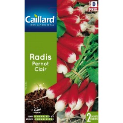 Graines Radis Pernot Clair...