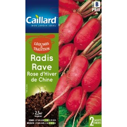 Graines Radis Rave Rose...