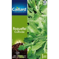 Graines Roquette Cultivee...