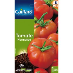 Graines Tomate Marmande...