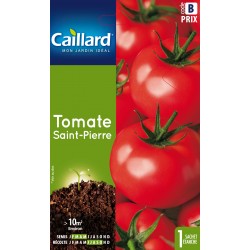 Graines Tomate Saint-Pierre...