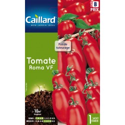 Graines Tomate Roma Vf...