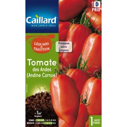 Graines Tomate Andine...