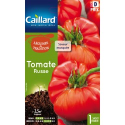 Graines Tomate Russe -CAILLARD