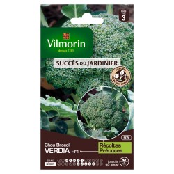 CHOU BROCOLI Verdia hf1...