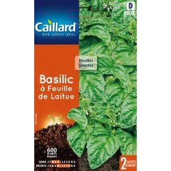 Graines Basilic À Feuille...