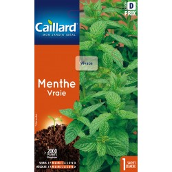 Graines Menthe Vraie -CAILLARD