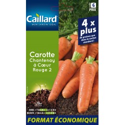 Graines Carotte De...