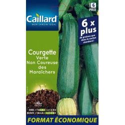 Graines Courgette Verte Non...