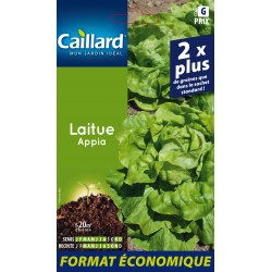 Graines Laitue Appia -CAILLARD