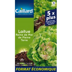 Graines Laitue Pommee Reine...