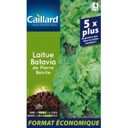 Graines Laitue Batavia De...