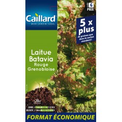 Graines Laitue Batavia...