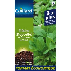Graines Mache À Grosse...