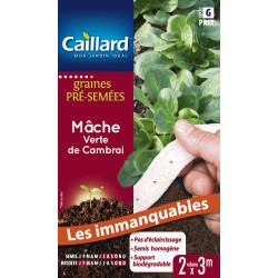 Graines Pré-Semées Ruban...