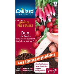 Graines Pré-Semées Ruban...