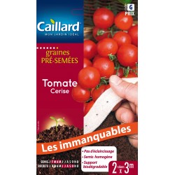 Graines Pré-Semées Ruban...