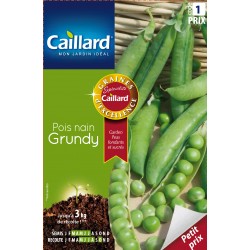 Graines Pois Nain Grundy...