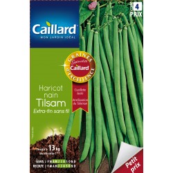 Graines Haricot Nain...