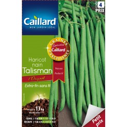 Graines Haricot Nain...