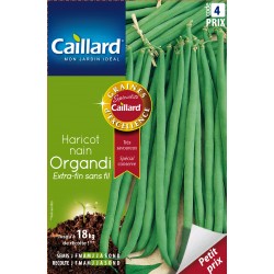 Graines Haricot Nain...