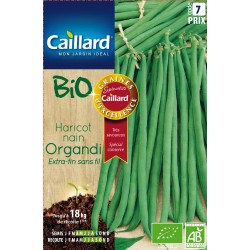 Graines Haricot Nain...