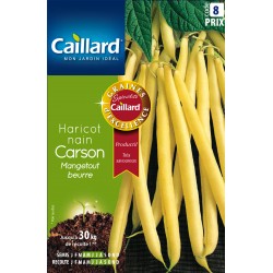 Graines Haricot Nain...