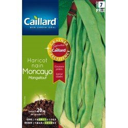 Graines Haricot Nain...