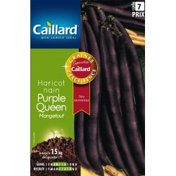 Graines Haricot Nain...