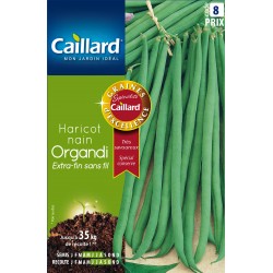 Graines Haricot Nain...