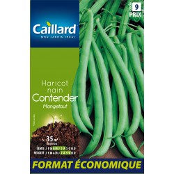 Graines Haricot Nain...