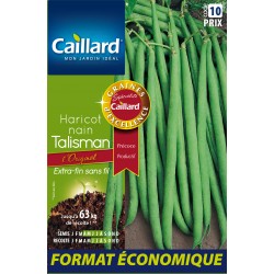 Graines Haricot Nain...
